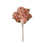 MATA HORTENSIA X7