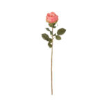 VARA ROSA CABBAGE *FUXIA