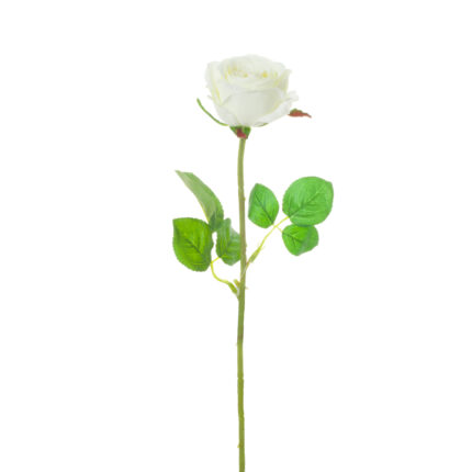 V.ROSA ALENA *BLANCO