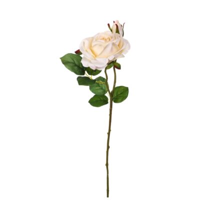 V.ROSA SOFIA *BLANCO