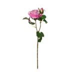 V.ROSA SOFIA