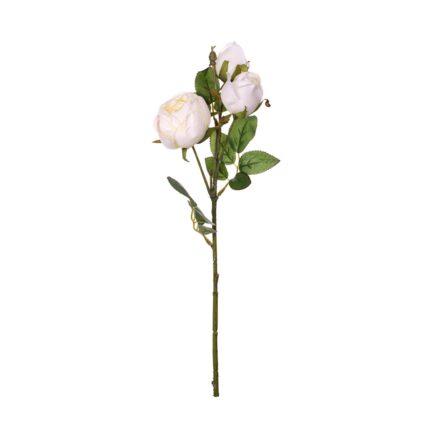 V.RANUNCULO X3 *BLANCO