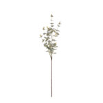 V.EUCALYPTO PU