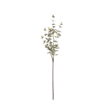 V.EUCALYPTO PU