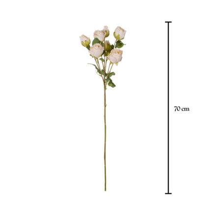 V.ROSA X7 DRY
