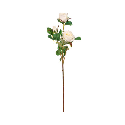 V.ROSA X3 *BLANCO