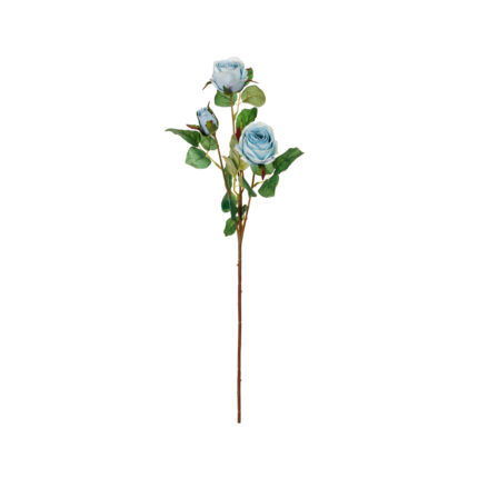 V.ROSA X3 *FUXIA