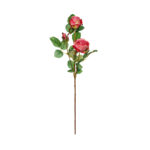 V.ROSA X3 *FUXIA