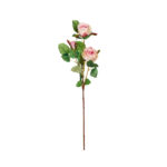 V.ROSA X3 *FUXIA