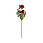 V.ROSA X3 *FUXIA