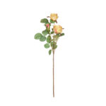 V.ROSA X3 *FUXIA