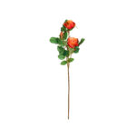 V.ROSA X3 *FUXIA