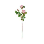 V.ROSA X3 *FUXIA