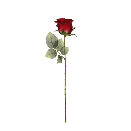 VARA ROSA DELIA