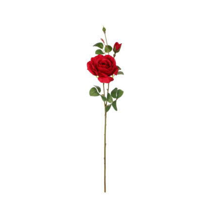VARA ROSA ALICIA