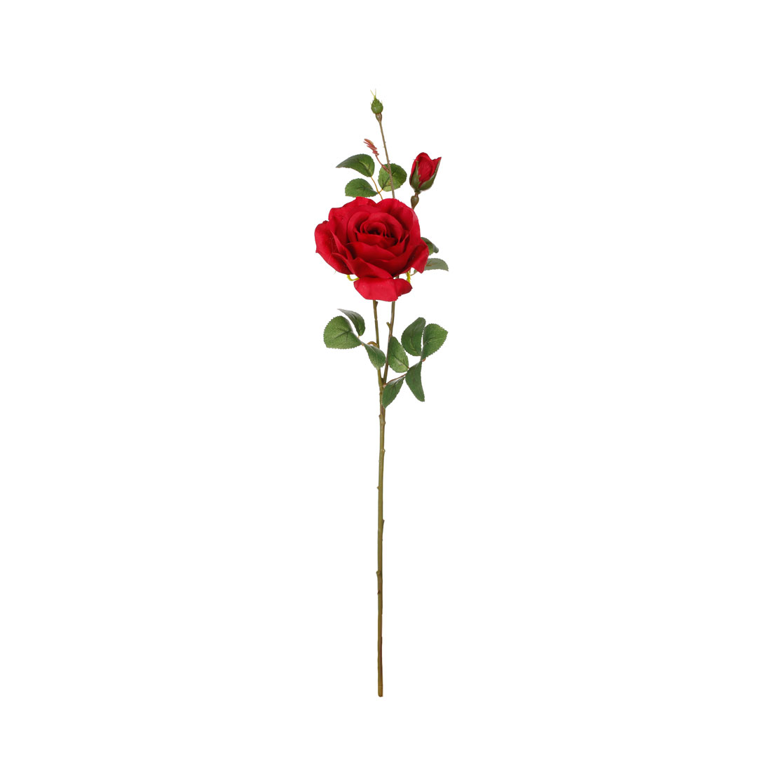 7357-2.jpg VARA ROSA ALICIA