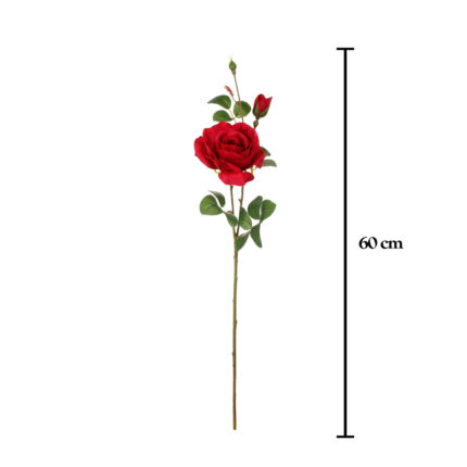 VARA ROSA ALICIA