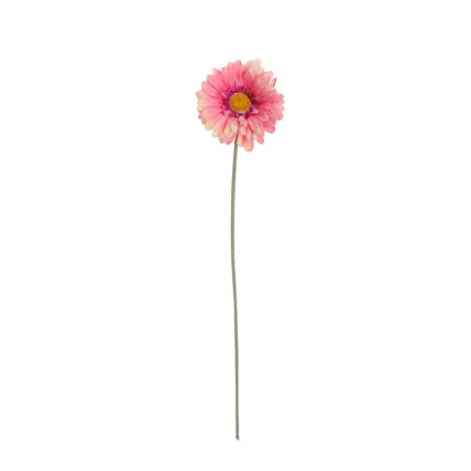 VARA GERBERA *ROSA