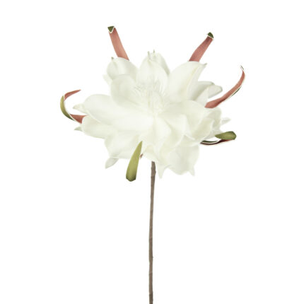 MAGNOLIA FOAM (11) *BLANCO