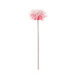 ZINNIA FOAM