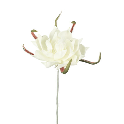 MAGNOLIA "FOAM" (11) *BLANCO