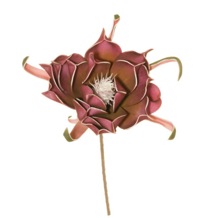 MAGNOLIA "FOAM"