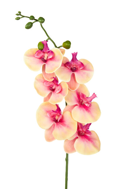 VARA ORQUIDEA (19094) *FUXIA