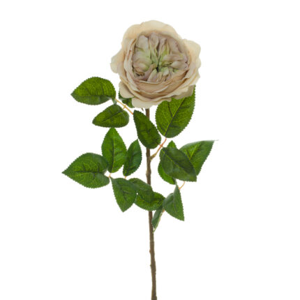 VARA ROSA INGLESA (865791) *ROSA