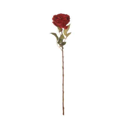 VARA ROSA INGLESA