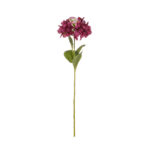 VARA HORTENSIA