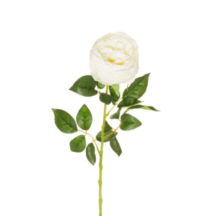 VARA ROSA INGLESA (30084) *BLANCO