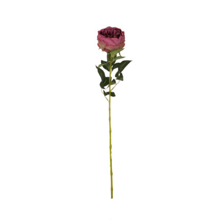 VARA ROSA INGLESA