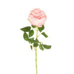 VARA ROSA INGLESA