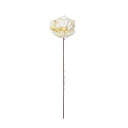 VARA MAGNOLIA VELVET