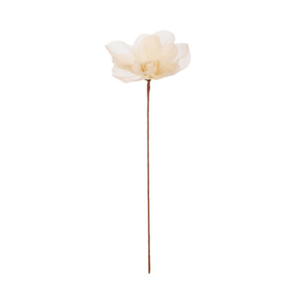 VARA MAGNOLIA