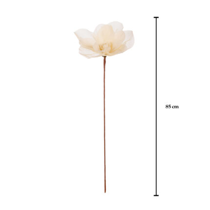VARA MAGNOLIA