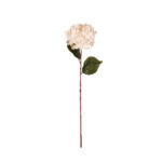 VARA HORTENSIA