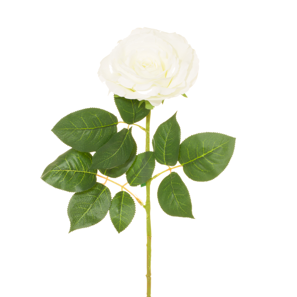 88000200-0.jpg VARA ROSA (30085) *BLANCO