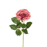 VARA ROSA