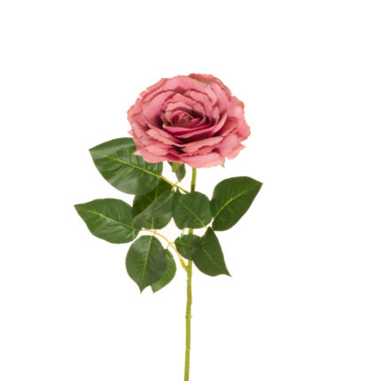 VARA ROSA