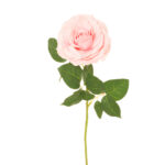 VARA ROSA