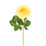 VARA ROSA