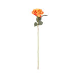 VARA ROSA