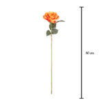 VARA ROSA