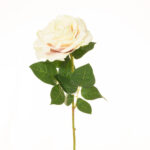VARA ROSA