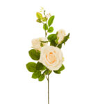 VARA ROSA
