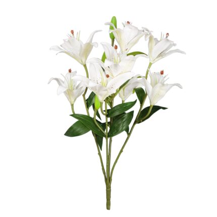 MATA LILIUM