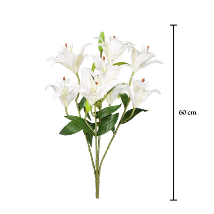 MATA LILIUM
