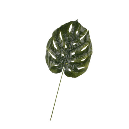 HOJA COSTILLA GRD