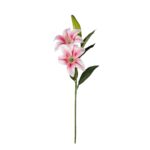 VARA LILIUM